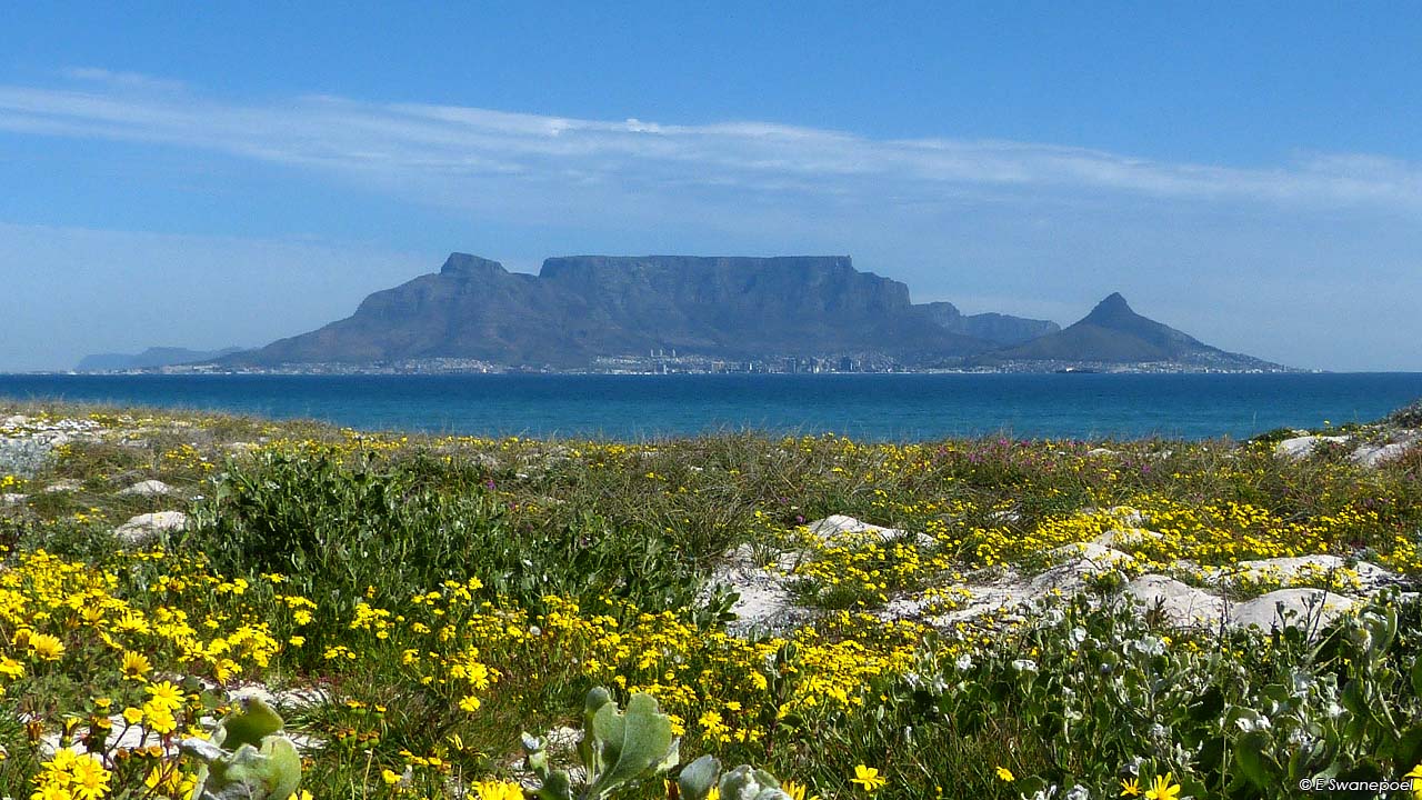 Table mountain